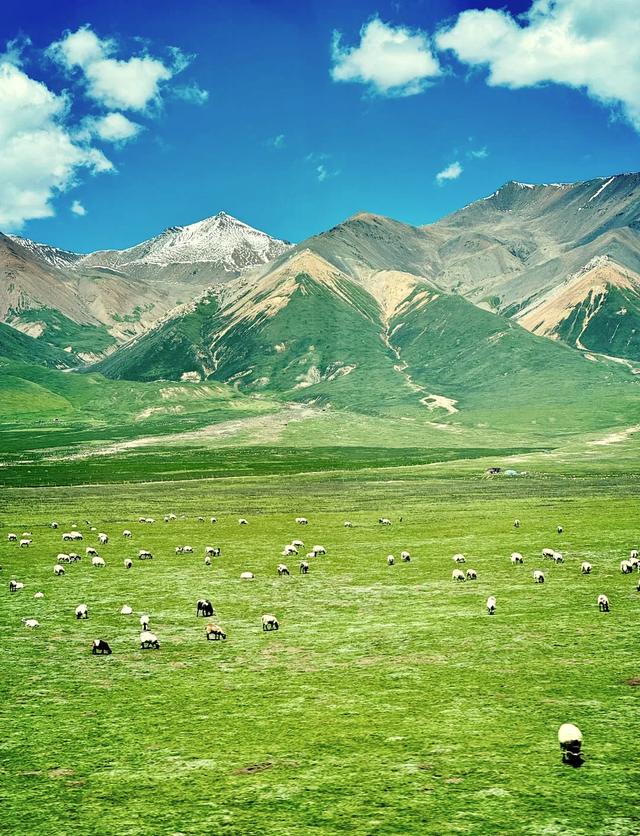 让我念念不忘的祁连秘境：雪山、草原、森林，西北私藏的治愈天堂