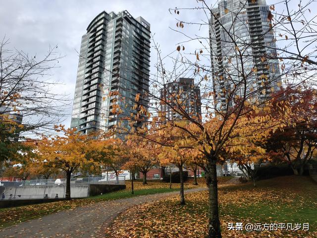 温哥华游记（六）