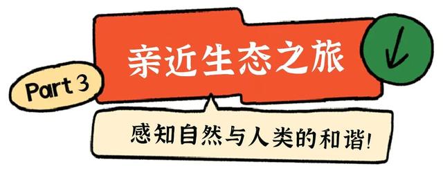 宜宾冠英古街秋假遛娃指南：非遗扎染、燃面研学、江边喂鱼，一站式玩透！