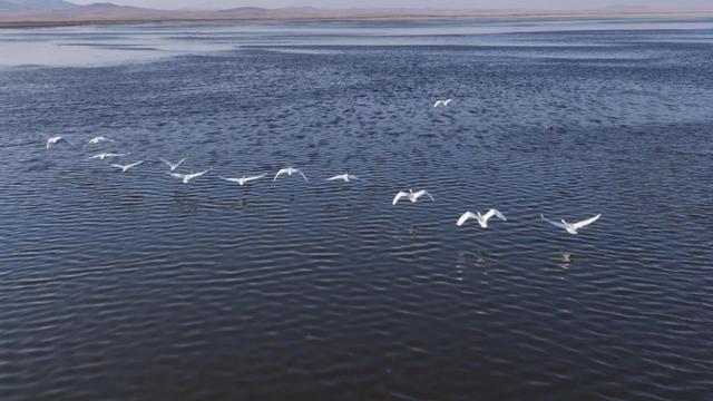 额尔古纳：守护湿地生态密码 织就和谐共生画卷