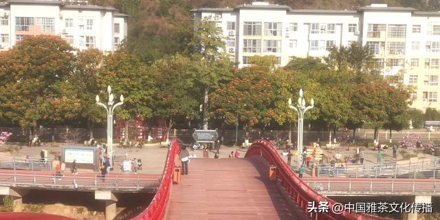 米易康养，相约暖阳