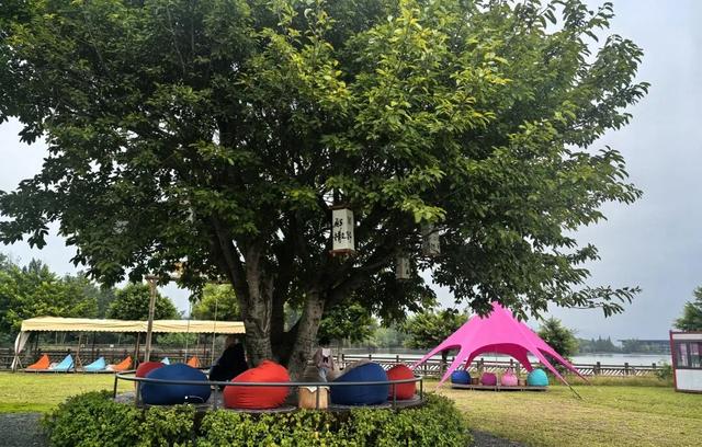 金堂围炉煮茶好去处，等你来打卡