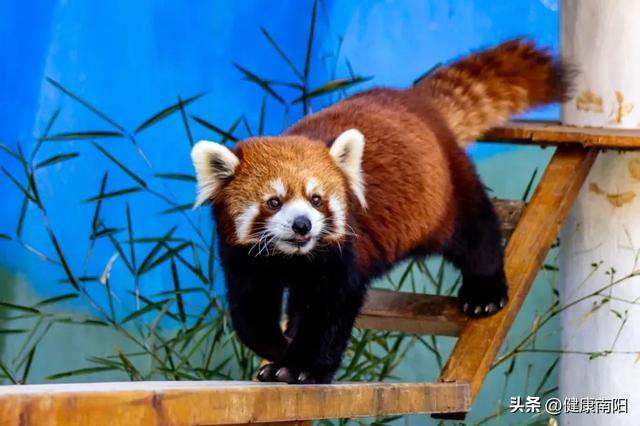 免免免！河南这些景区推出限时特惠活动→