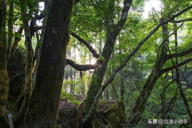 索尼 RX1R III 评测——口袋里的高品质街拍相机