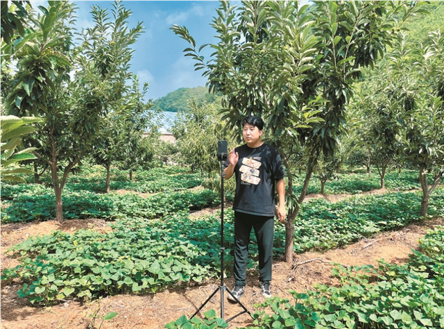 长城脚下 “金豆”出山