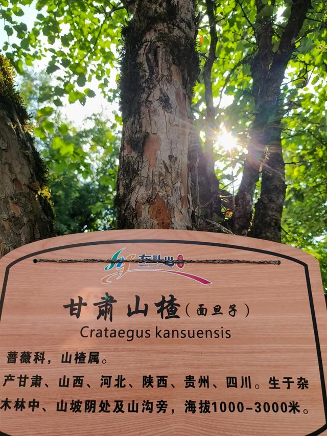 出发!户外亲子游天花板,非龙头山莫属→