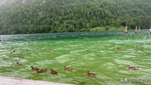 欧洲行第三天-童话小镇拉姆绍、国王湖