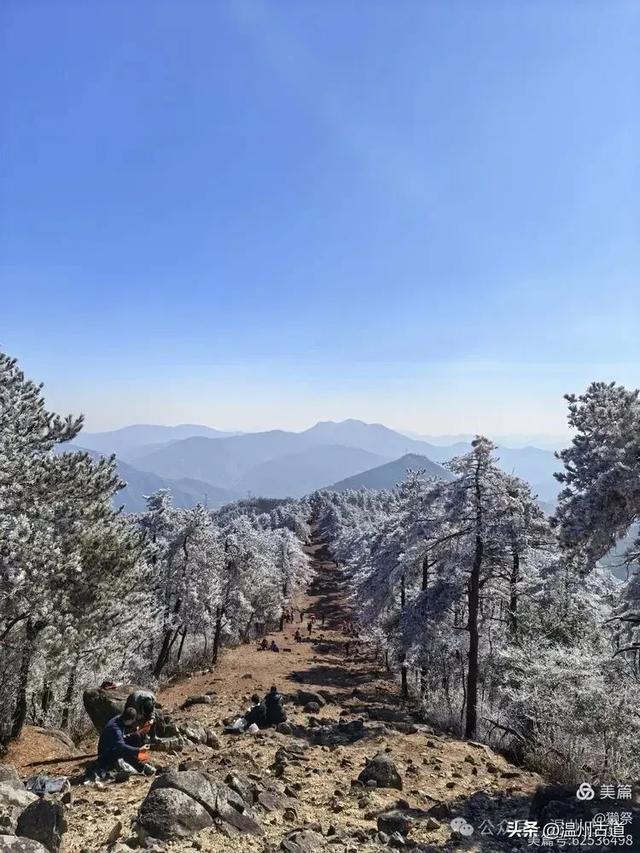 邂逅2026年的第一场醉美雾凇!温州四海山的雾凇美爆了!