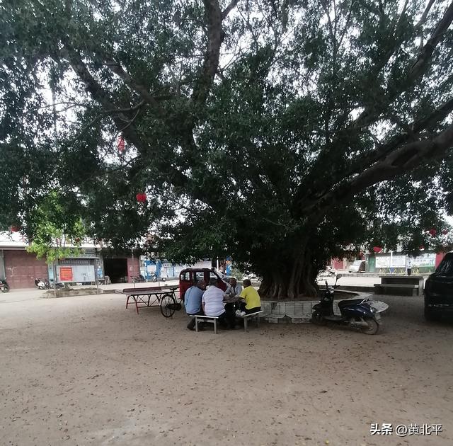 广西南宁市武鸣区陆斡镇县级文保建筑，是文桐村民的文娱场所