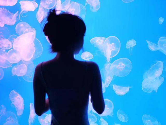 原来真的有城市，可以一天24小时都快乐~（1）