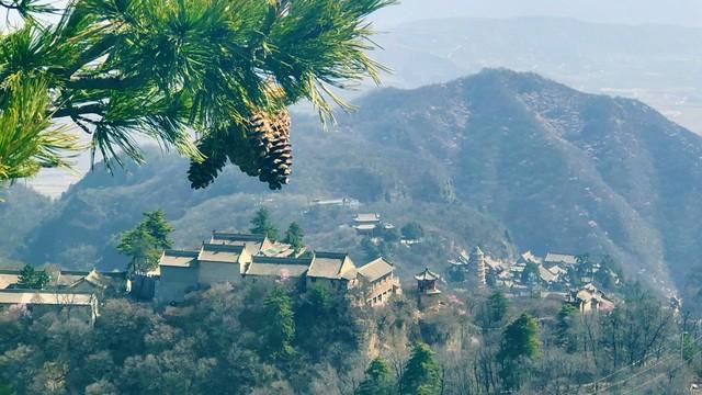 太山的方便面