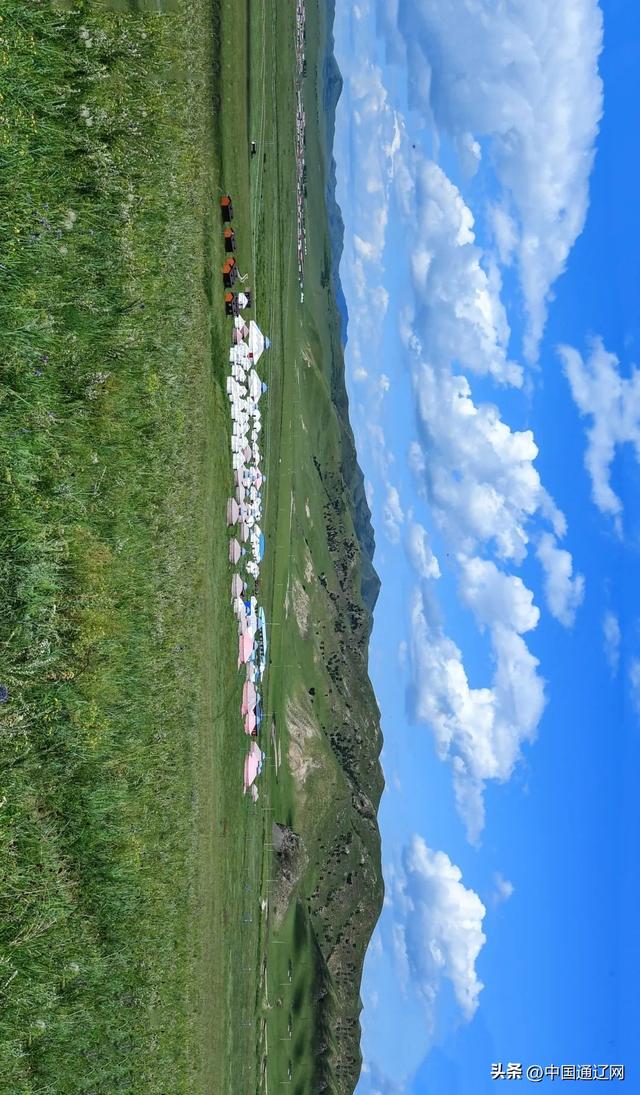 夏天，请到山地草原来