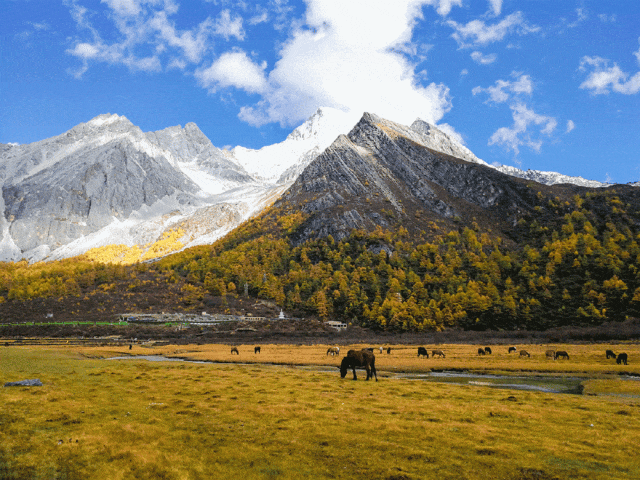是什么让资深驴友每年秋天都偷偷跑去川西？？