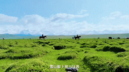 遇见高原的城｜卓玛带你游昂仁