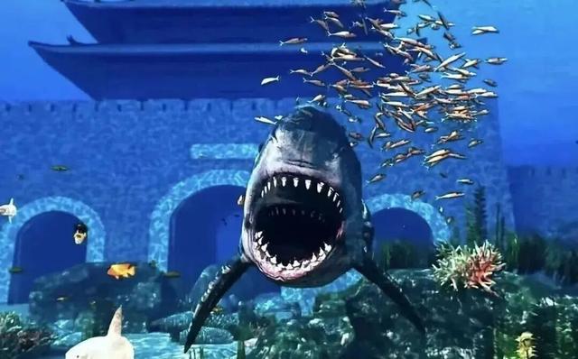 秋华未减，冬景将至，来炎帝影视基地赴一场秋冬的约会吧！