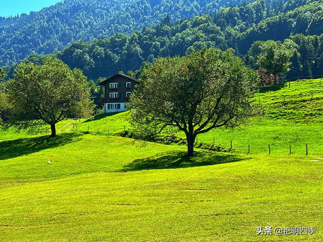 欧游杂记（5）‖ 齿轮火车几上几下瑞吉山，缆车凌空飞跃韦吉斯