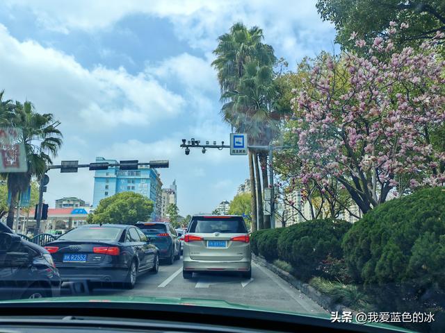 九九艳阳天，浙江丽水走一走