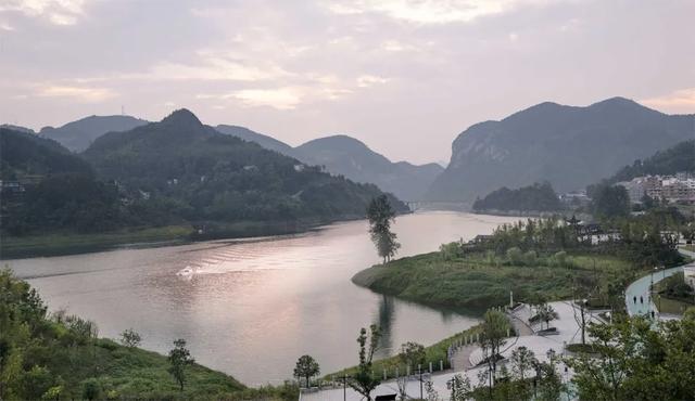 乡游黔中 · 德江县 桶井土家族乡丨乌江畔金菊漫山,秋韵正浓