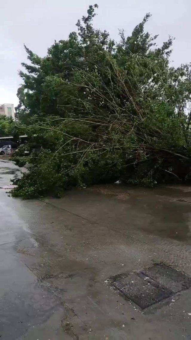 要钱不要命！男子为省几十块钱，竟找几块木板支撑空调外机