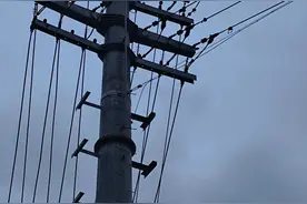 最早发现“电”的人是谁？你百分百要说错！图片