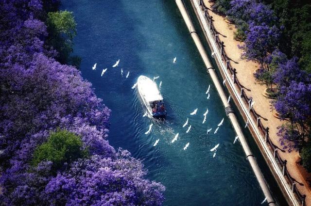 反向过冬“封神榜”！这10个城市温暖又好玩