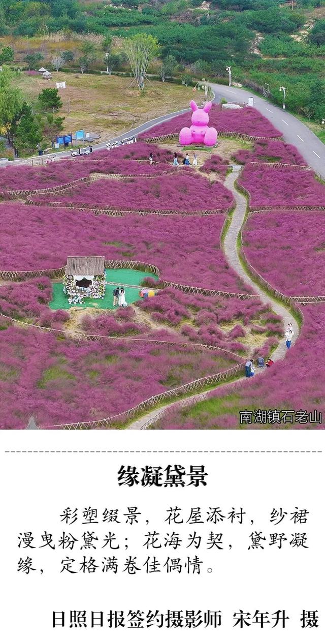 强烈推荐！超级安利！日照这些秋景丝毫不输……