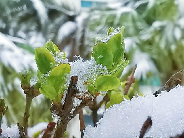 “春节冷不冷，就看冬至”，今日冬至，2026年春节会很冷吗？