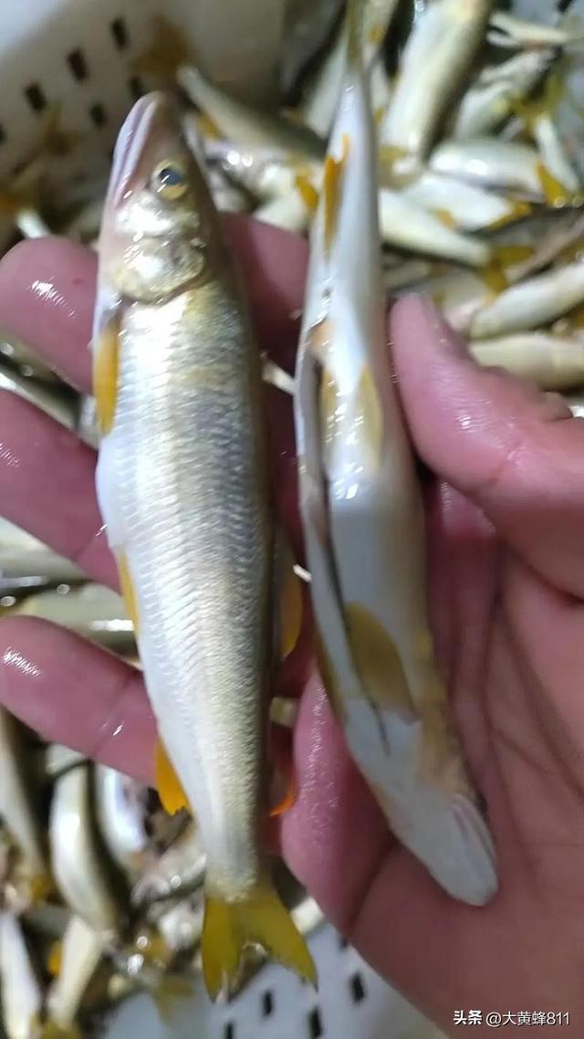 认识大美浙江的每个县——第五波：永嘉