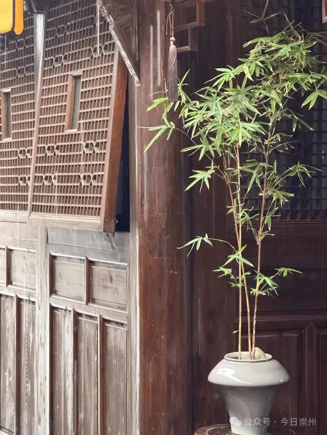 来正东街，尝枇杷茶煮的五花肉......