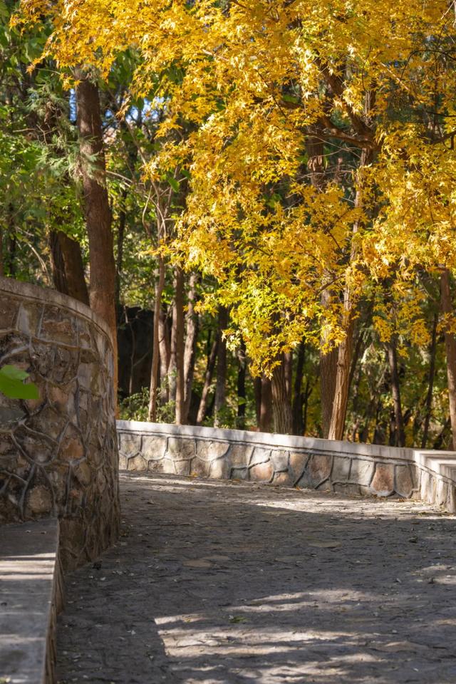 收藏一个秋天,石景山绝美秋色大公开