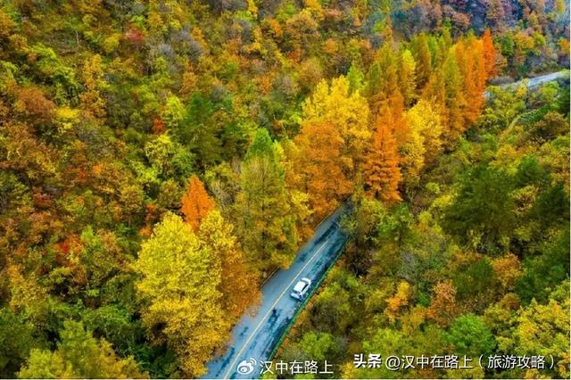 秋假即将开启，汉中多景区发布免票优惠政策→