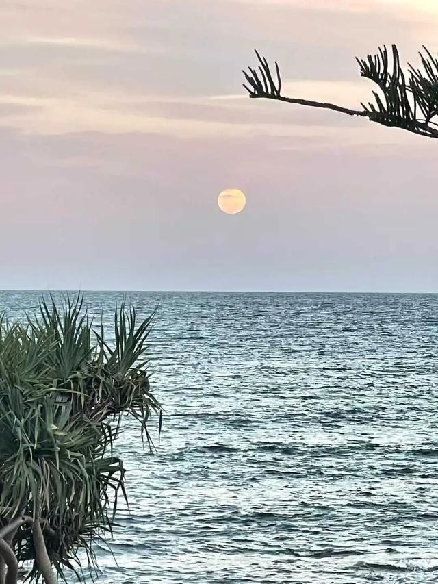 路上·布里斯班 ‖ 又出来赚小时来了