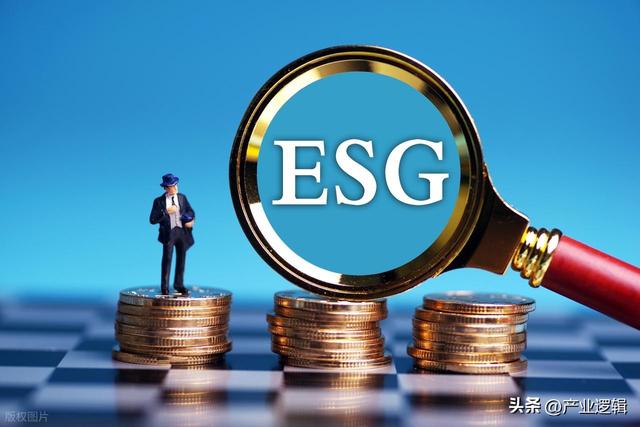 价值共生：文化公益基金如何成为企业ESG战略的“文化解码器”