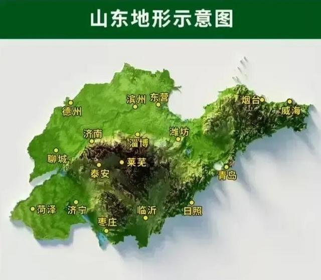 姚明不如山东葱高？东西到了山东为啥长都得这么高？天时地利人和