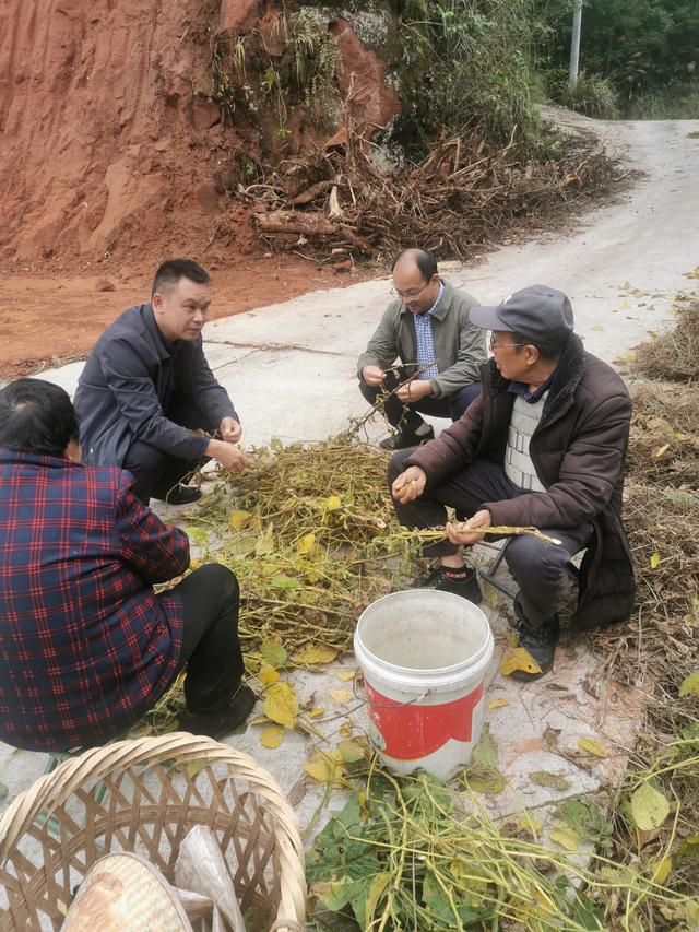 何以重庆｜黔江：跨越深V