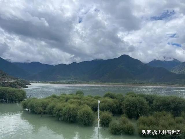 西藏纪行（四）游卡定沟 文‖井明新