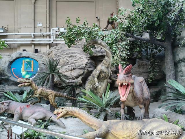 第一次去国家自然博物馆，水族馆和恐龙乐园是8岁孩子的最爱