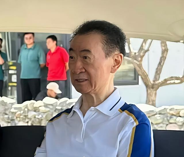王健林被限制高消费意味着什么