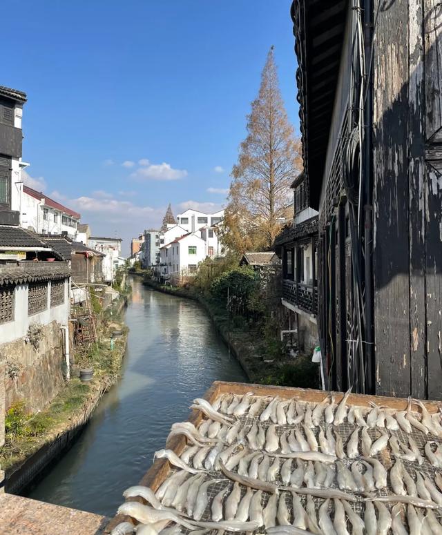 我是上海人,去了奉贤和金山,直言不讳:奉贤跟金山天差地别