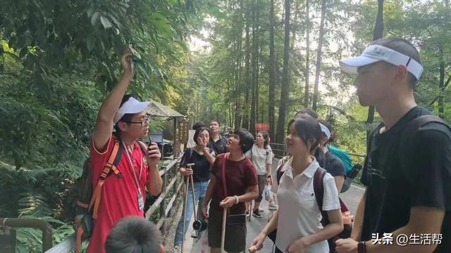 男性“陪爬”峨眉山被指“擦边”，多方回应