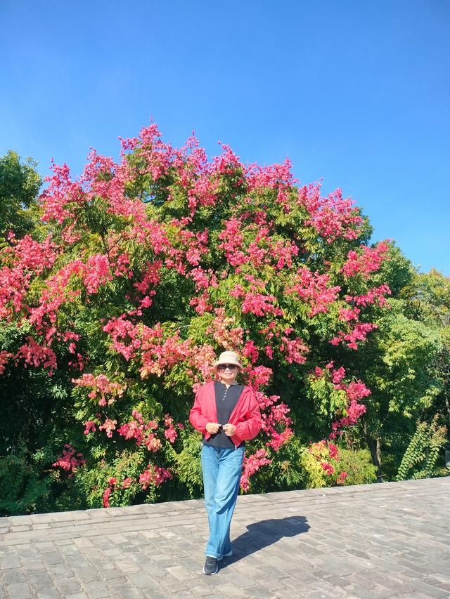 湘粤赣之旅（一）：赣州篇