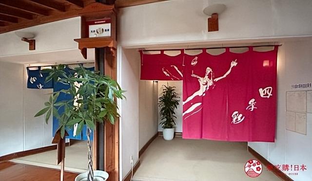 熊本县南部自驾一日游推荐：到「水俣・芦北」体验水上活动
