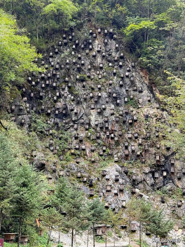 北京自驾长江三峡、神农架之旅（6）