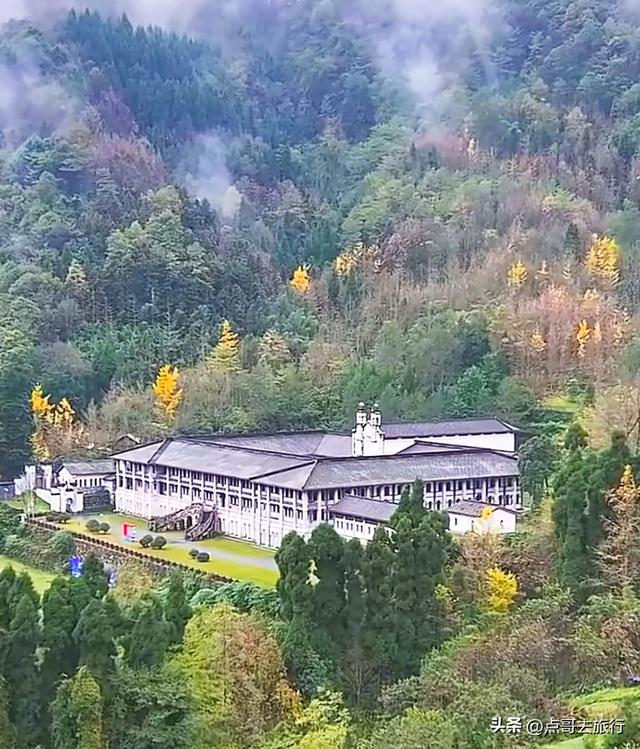 成都彭州的魔幻彩林，都不要门票！壮观、唯美、浪漫，无不惊艳！