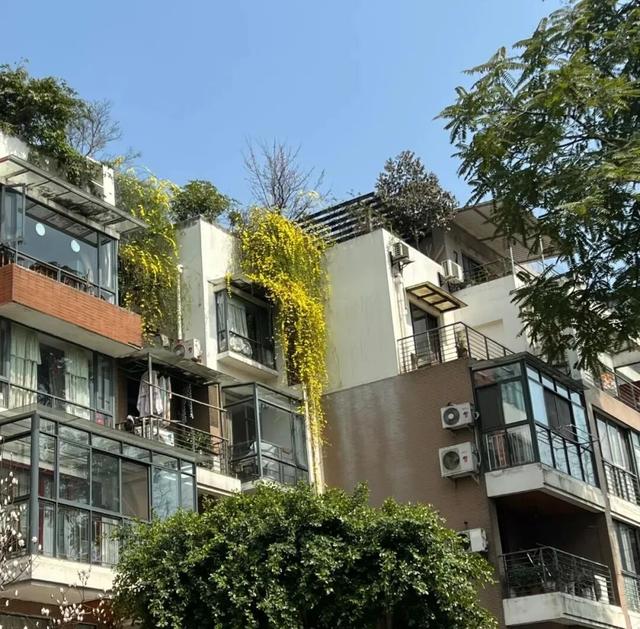 2026年的房价要变天？王健林预言应验，惊醒梦中人