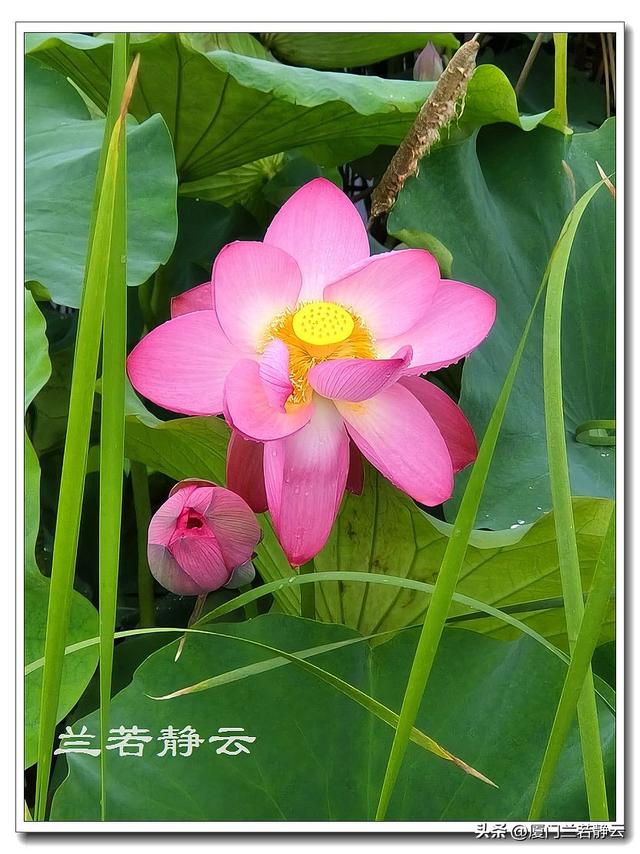 云南普者黑：自由行两日游