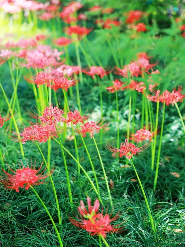 我说白了，萧山你是不是有点过分了！