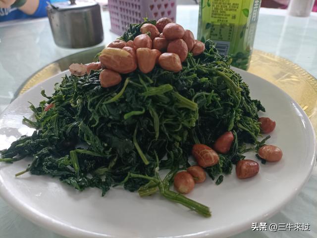 无为在歧路，壶关林州大名府3