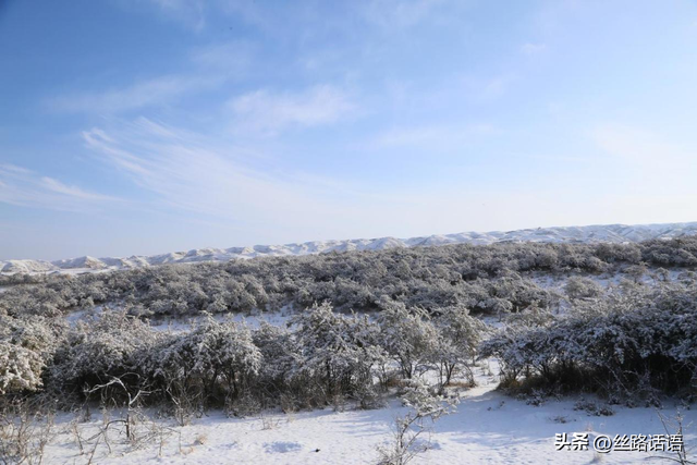 图集丨初雪如诗！焉支山披上冬日“银装”