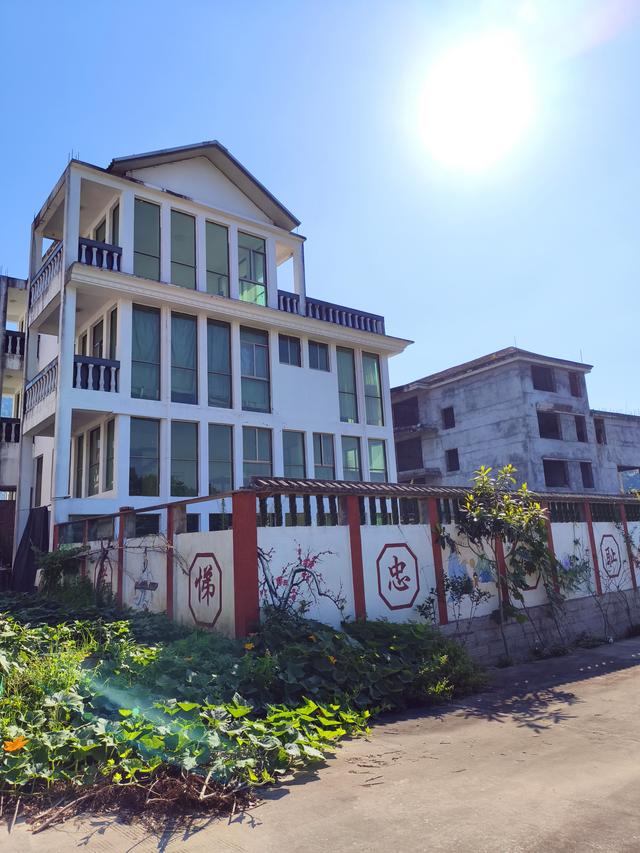 福建 · 福州 · 大湖 · 一村一品：东姚村(2025·7·28～8·1)